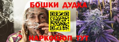 МДПВ Дубна