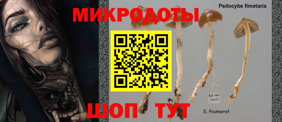 Кумертау  Галлюциногенные грибы мицелий  Галлюциногенные грибы GOLDEN TEACHER  Вход с VPN 